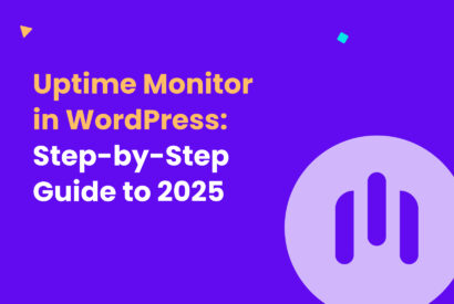 Uptime Monitor in WordPress_ Step-by-Step Guide to 2025