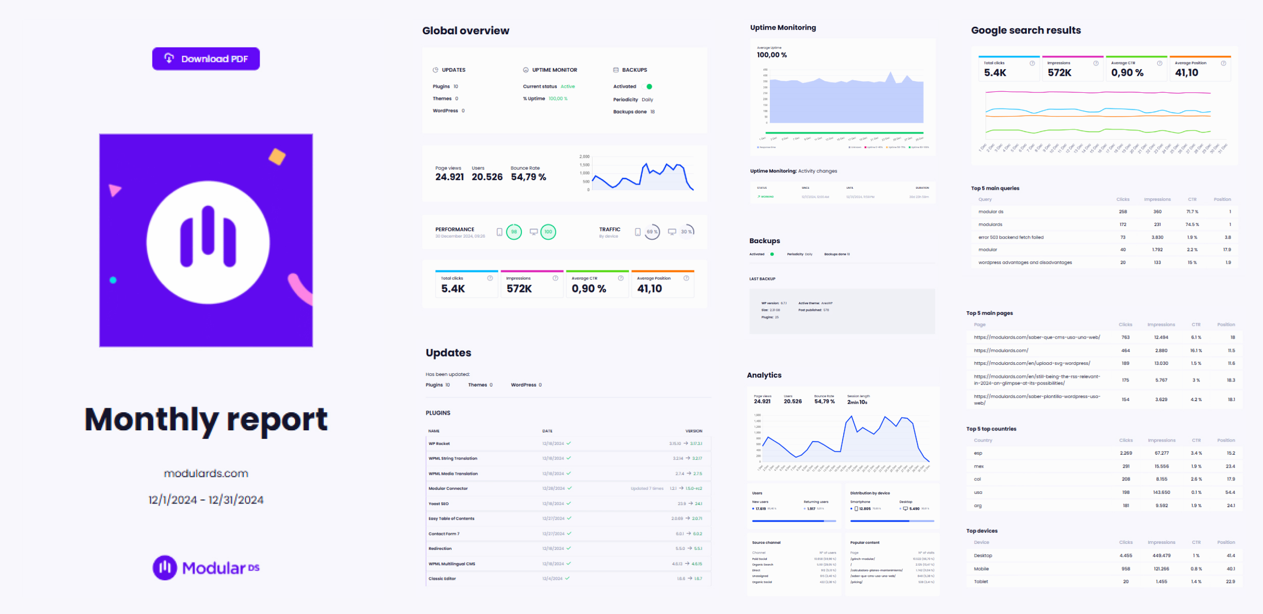 EN Modular Web Report