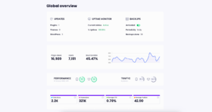 Global overview section of a WordPress maintenance report in Modular DS, showing plugin updates, uptime monitoring details, daily backups, performance scores, traffic data, and Google Search Console metrics.