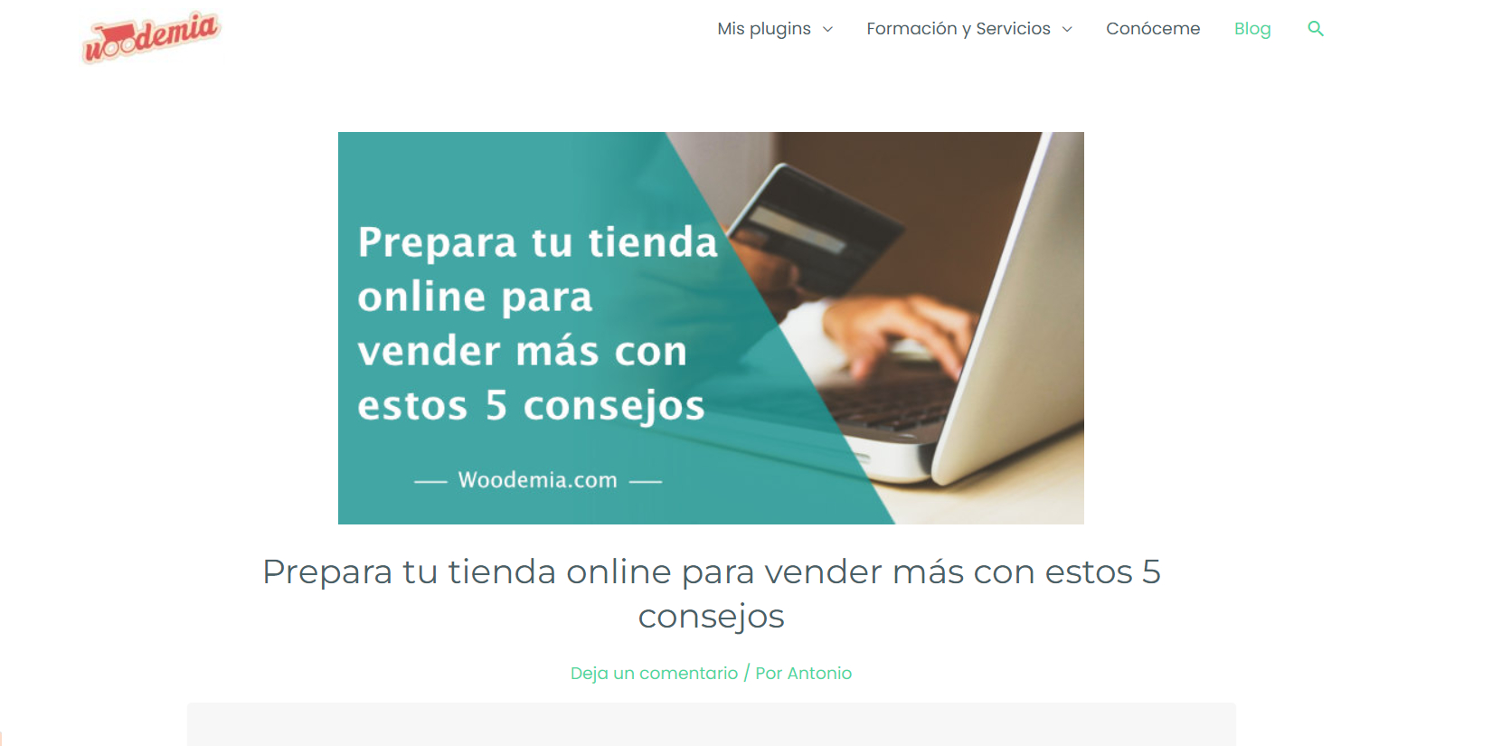 Woodemia Mejores Blogs Espanol WordPress Modular