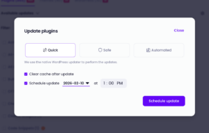 Modular DS modal to schedule a one-time WordPress plugin update with date, time, and optional cache clearing.