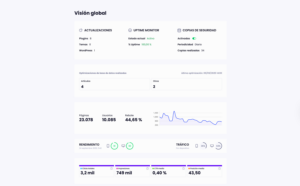 Sección del resumen o visión global de un reporte de Modular DS.
