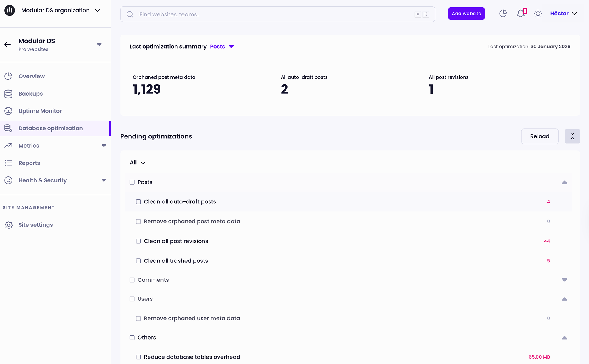 Screenshot of the Modular DS dashboard showing the Database Optimization section, with a summary of post-related cleanup items such as orphaned post meta data, auto-draft posts, and post revisions, plus a list of pending optimizations.