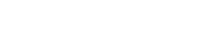 Modular DS white logo