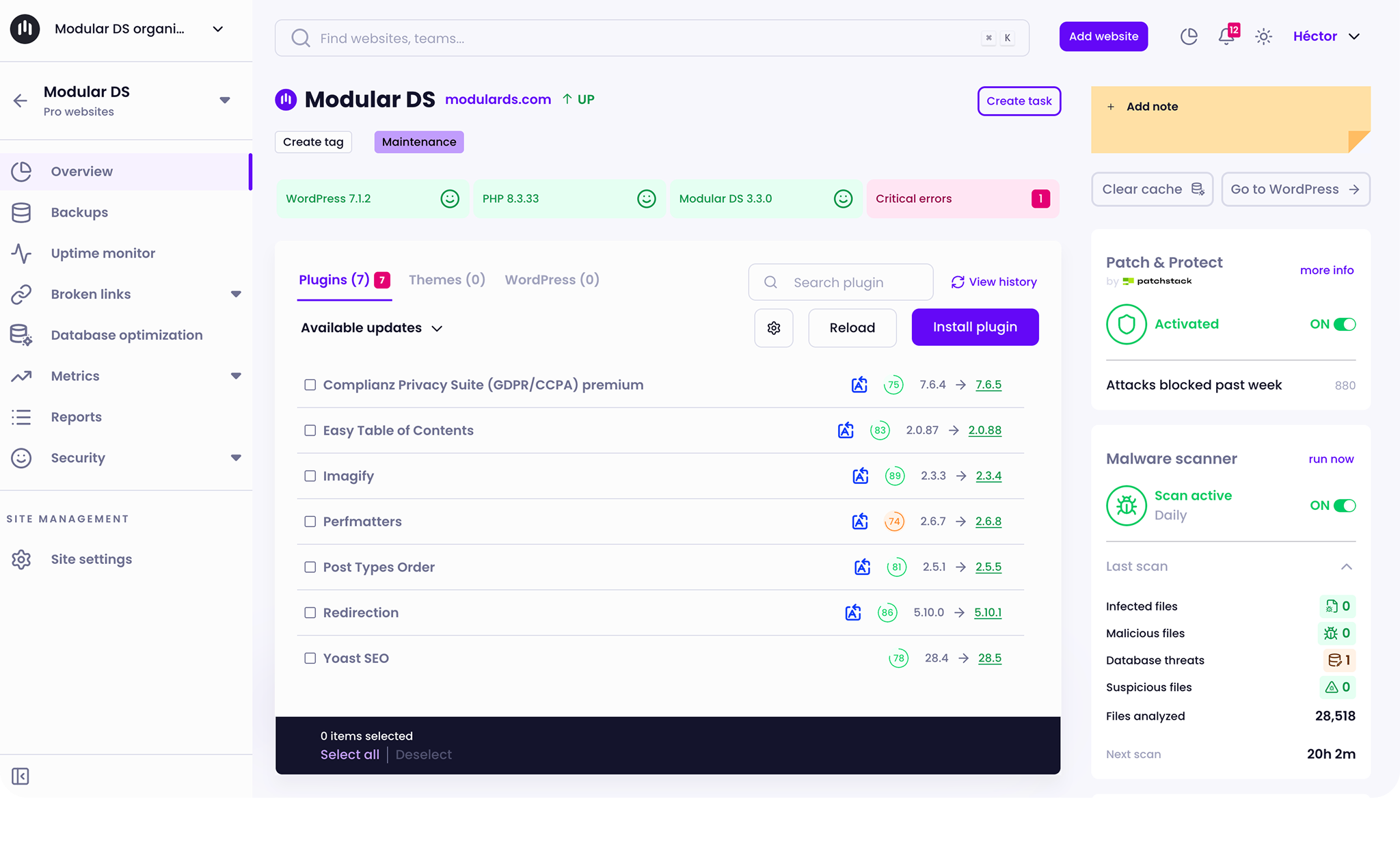 Modular DS website overview dashboard, showing update manager, pending plugin updates, uptime status, Patch & Protect security, and malware scanner results.